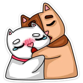 💑 кошки, животные, любовь, романтика, милые, эмоции, очаровательные whatsapp sticker