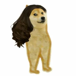 🍑 doge, hond, meme, haar, pruik, grappig telegram sticker