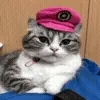 👮♂️