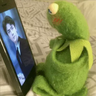 🐸 Kermit Kermit, o Sapo, sapo, fantoche, assistindo, telefone, entretenimento whatsapp sticker