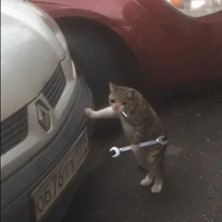 😭 kucing, mekanik, kunci inggris, rokok, perbaikan mobil, lucu, hewan telegram sticker