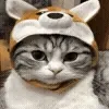 💂