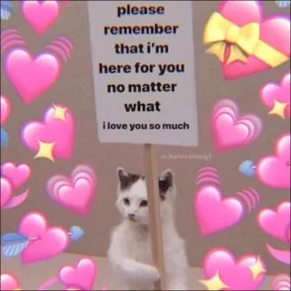 🐈 please
remember
that i'm
here for you
no matter
what
i love you so much kucing, cinta, hati, meme, persahabatan, dukungan telegram sticker