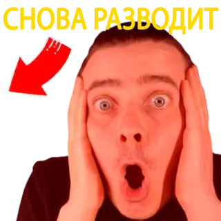 😔 СНОВА РАЗВОДИТ telegram sticker