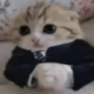 🕴 Cat in a suit whatsapp sticker