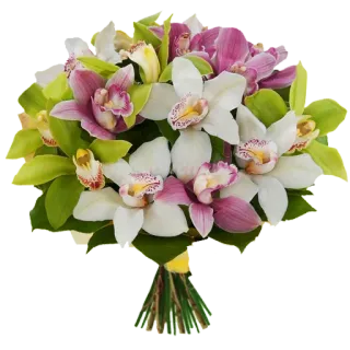 🌺 กล้วยไม้, ดอกไม้, ช่อดอกไม้, การจัดดอกไม้, พืช, ธรรมชาติ whatsapp sticker