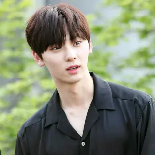 ☘ hombre, coreano, asiático, retrato, camisa negra, guapo telegram sticker