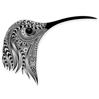 🦩 bird, kiwi, new zealand, animal, pattern, head, black and white telegram sticker