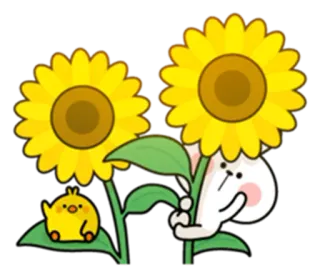 🌼 цыпленок, подсолнух, милый, кролик, каваий, мультик whatsapp sticker