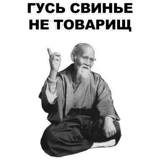☝ ГУСЬ СВИНЬЕ
НЕ ТОВАРИЩ text, russian, goose, pig, insult, phrase telegram sticker