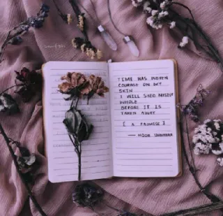 🥀 TEME HAS WOVEN
COURAGE ON MY
SKIN
1 WELL SHED MYSEL
WILOLE
BEFORE IT 15
TAKEN AWAY
[A PROMISE 1
DOR UHHMAR sổ tay, hoa khô, thơ, nghệ thuật, viết, cổ điển, trích dẫn telegram sticker