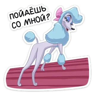 🍑 ПОЙДЁШЬ СО МНОЙ? สุนัข, การ์ตูน, พุดเดิ้ล, น่ารัก, สัตว์, เพศหญิง, คำถาม telegram sticker