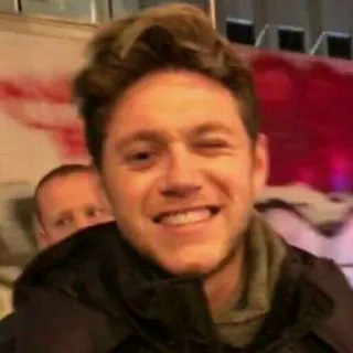 😁 Niall Horan Niall Horan, singer, celebrity, one direction, irish, winking telegram sticker