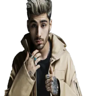 😯 Zayn Malik zayn malik, singer, celebrity, portrait, pop music whatsapp sticker