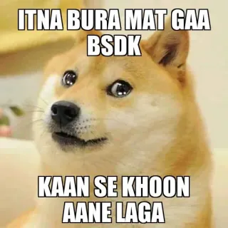🥺 ITNA BURA MAT GAA
BSDK
KAAN SE KHOON
AANE LAGA doge, 表情包, 搞笑, 俚语, 网络迷因, 狗, 幽默 telegram sticker