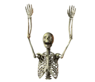 🙌 scheletro, ossa, morte, halloween telegram sticker