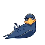 👋 cuervo, pájaro, actitud, dedo corazón telegram sticker
