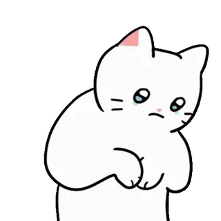 💬 gato, triste, lindo, animal, dibujos animados, pegatina whatsapp sticker
