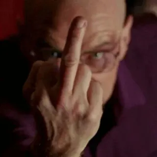 🌓 middle finger, offensive, gesture, rude, anger telegram sticker