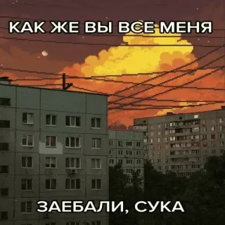 Больше стиков тут: @stikery4 telegram stickers