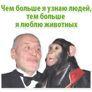 🐒 Чем больше я узнаю людей, тем больше я люблю животных สัตว์, ลิง, ผู้ชาย, ภาพเหมือน, ตลก whatsapp sticker
