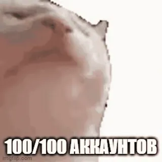 🚬 100/100 АККАУНТОВ avaliação, meme, texto, russo telegram sticker