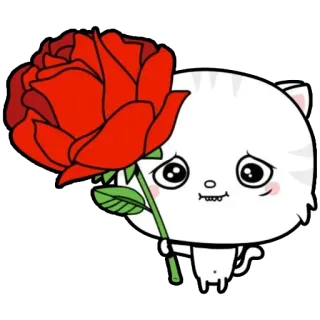🌹 고양이, 장미, 꽃, 귀여운, 만화, 스티커 telegram sticker