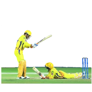 🤣 Cricket, Sport, Battitore, Atleta, Gioco telegram sticker