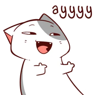 😏 ayyy gato, dedo do meio, ofensivo, meme, desenho animado, animado telegram sticker