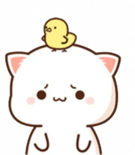 🐥 кот, котёнок, животное, милый, каваи, мультфильм, птица, цыплёнок telegram sticker
