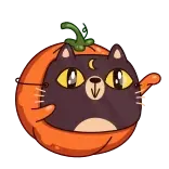 😼 kat, pompoen, halloween, schattig, sticker, cartoon, dier telegram sticker