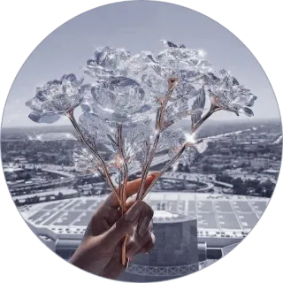 🤍 fleurs, roses, argent, main, étincelant, paysage urbain telegram sticker