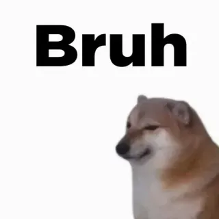 🎭 Bruh 개, 밈, bruh, 도지 telegram sticker