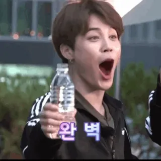 🍾 완벽 kpop, jimin, bts, perfect, surprise, korean telegram sticker