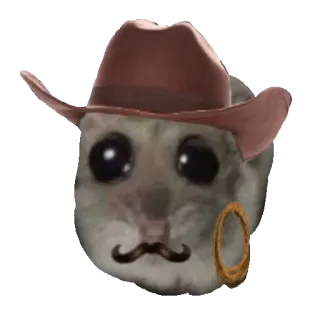 🤠 고양이, 모자, 콧수염, 외알 안경, 카우보이 whatsapp sticker