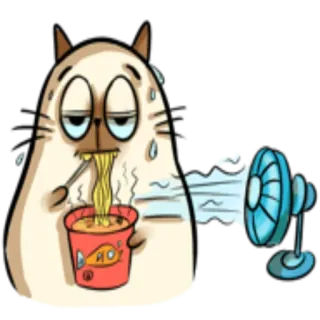 🍲 gato, fideos, caliente, fan, dibujos animados, sudando, gracioso, ilustración telegram sticker