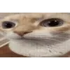 🤦