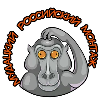 🙃 МАДАЦКИЙ РОССИЙСКИЙ МОНТАЖ monyet, rusia, teks, binatang, kartun whatsapp sticker