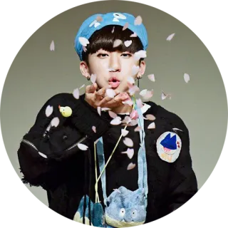 🎉 person, man, cherry blossom, kpop, asian, youth, flowers telegram sticker