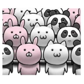 👨 animales, gatos, pandas, conejos, lindo, kawaii whatsapp sticker