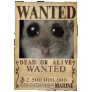 🔎 Sad Hamster One Piece WANTED DEAD OR ALIVE WANTED 2.500.000.000- MARINE sad hamster, wanted poster, one piece parody, meme, funny, bounty, cute, marine telegram sticker