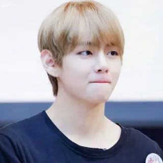 🍁 V kpop, penyanyi, bts, idola, selebriti, asia whatsapp sticker