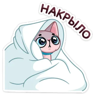 🙈 НАКРЫЛО cat, blanket, cute, sad, russian, cartoon, sticker telegram sticker