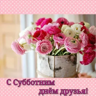 🔆 С Субботним днём друзья! bunga, buket, ranunculus, salam, persahabatan, sabtu, perayaan telegram sticker