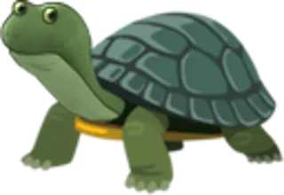 🐢 animal, tortuga, reptil, caparazón, verde whatsapp sticker