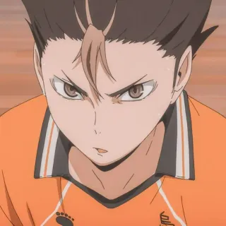 🗿 Nishinoya Yuu Haikyuu!! anime, manga, haikyuu, nishinoya yuu, volleyball telegram sticker