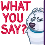 🤨 WHAT YOU SAY? 개, 화난, 텍스트, 질문 whatsapp sticker