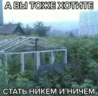 🤨 А ВЫ ТОЖЕ ХОТИТЕ СТАТЬ НИКЕМ И НИЧЕМ Russisch, Zitat, überwuchert, Natur, Gewächshaus telegram sticker