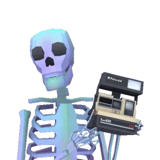 📷 scheletro, macchina fotografica, Polaroid, fotografia, ossa whatsapp sticker