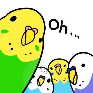 👥 oh... burung, parkit, parkit, hewan, imut, kartun telegram sticker